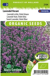 Lavendel Echter, Violett blau, Verani EKO