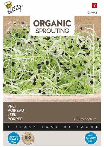 Organic Sprouting Porree BIO - Allium porrum