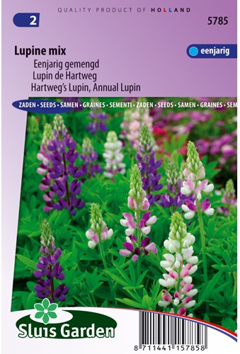 Lupine 1-jarig mix - Lupinus