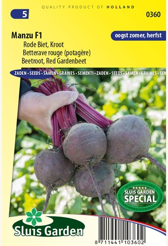 Rote Beete Manzu F1 - Beta vulgaris