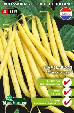 Stammbrechbohne Orinoco wax - Phaseolus