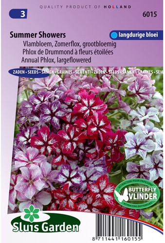 Flammenblume Summer Showers Mix - Phlox