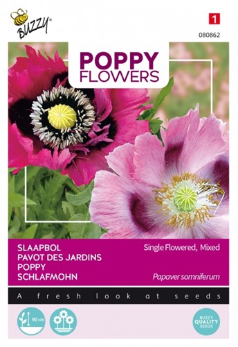 Schlafmohn Enkel blutige, mixed - Poppy Flowers