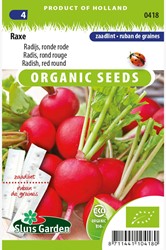Rettich Rot Raxe Samenband EKO - Raphanus