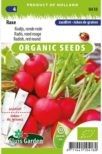 Rettich Rot Raxe Samenband EKO - Raphanus