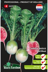Chinesischer Rettich Red Meat