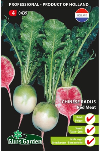 Chinesischer Rettich Red Meat