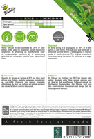 Suikerplantje / Stevia - Buzzy-2