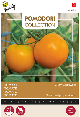 Tomate Arancia Zloty Ozarowski - Pomodori Collection