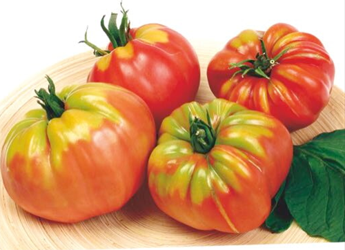 Vleestomaat Coeur De Boeuf - Pomodori Collection-3