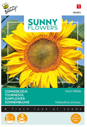 Sonnenblumen Henri Wilde - Sunny Flowers