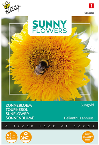 Niedrige Sonnenblume Sungold, gefüllte - Sunny Flowers