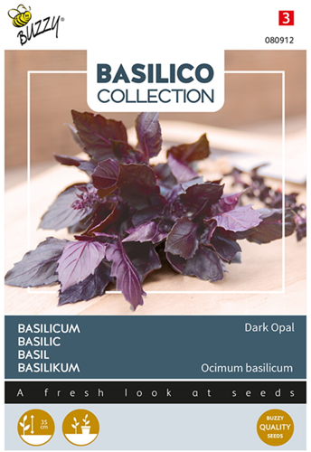 Basilikum Dark Opal - Basilico Collection