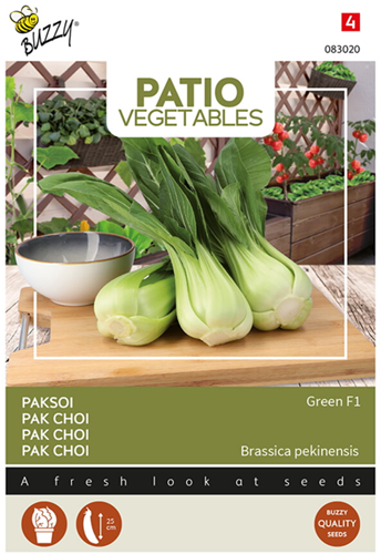 Pak Choi Green F1 - Buzzy Patio Vegetables