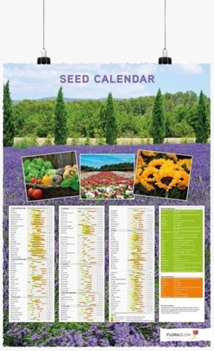 Aussaatkalender-Poster Englisch  - Gefaltet