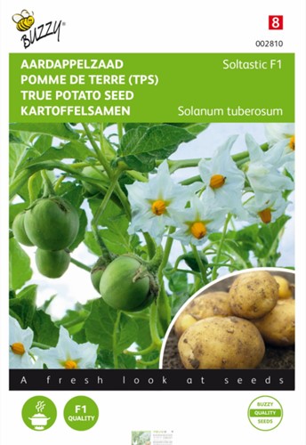 Kartoffelsaatgut Soltastic F1 - Solanum tuberosum
