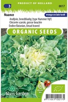 Endivien Breitblatt Nuance EKO - Cichorium endivia-2