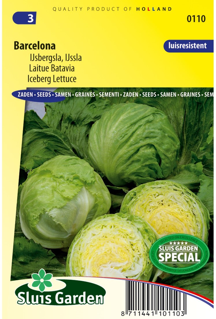 Eisbergsalat Barcelona kaufen? Samen bestellen bei Samenkaufen.de