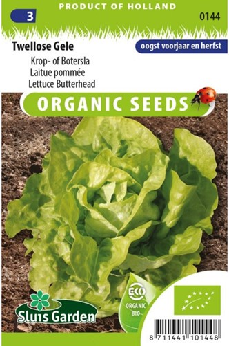 Twelloser Gelber Kopfsalat - Butter salat EKO-2
