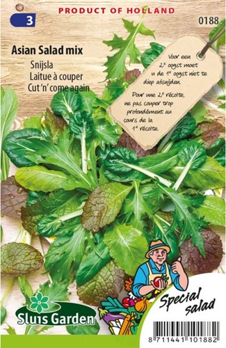 Asiatische Salat Mischung-2