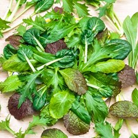 Asiatische Salat Mischung