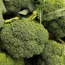 Broccoli Groene Calabrese Natalino EKO