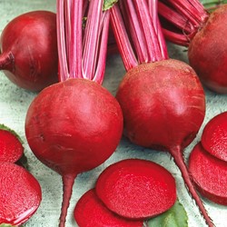 Rote Rübe Kugel 2 Nero