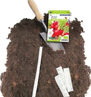 Rettich Rot Raxe Samenband EKO - Raphanus-2