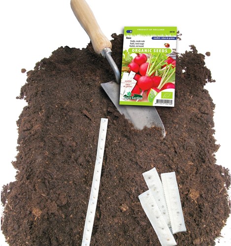 Rettich Rot Raxe Samenband EKO - Raphanus-2