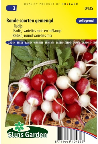 Radieschen runde Sorten gemischt - Raphanus-2
