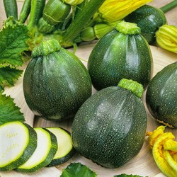 Zucchini Eight Ball F1