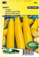 Zucchini Soleil F1 - Cucurbita pepo-2
