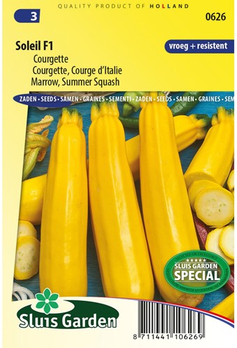 Zucchini Soleil F1 - Cucurbita pepo-2