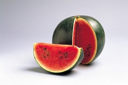 Wassermelone Sugar Baby