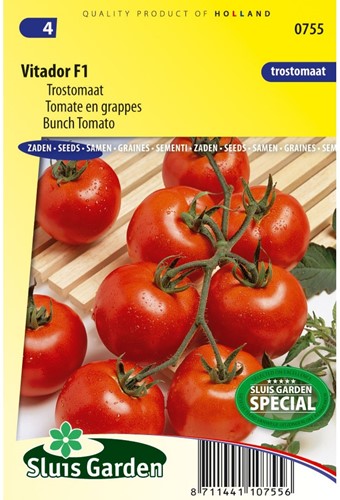 Tomate Vitador F1 - Trossen-Tomate-2