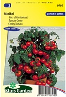 Tomate Minibel-2
