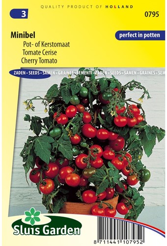 Tomate Minibel-2
