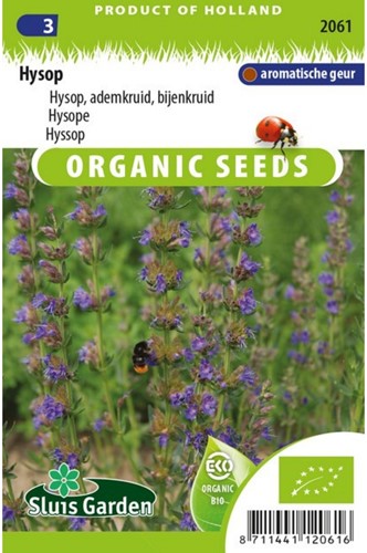 Ysop, Eisenkraut, Bienenkraut EKO-2