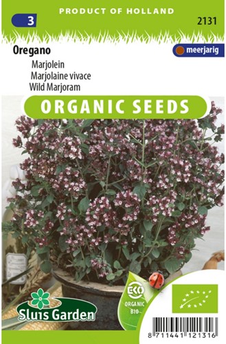 Oregano (Origanum Vulgaris) EKO-2