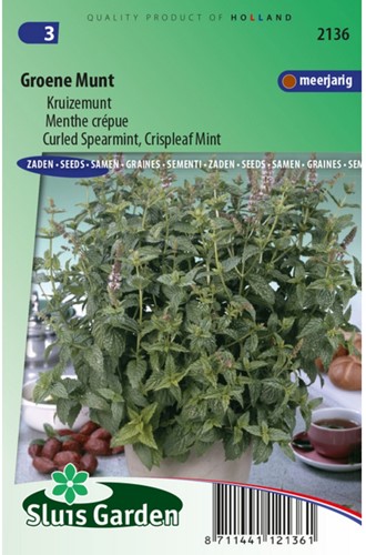 Grüne Minze-2