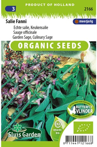 Salbei (Salvia officinalis) Fanni EKO-2