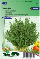 Thymian Sommer - Thymus vulgaris-2