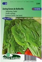 Sauerampfer Green de Belleville (Rumex acetosa)-2