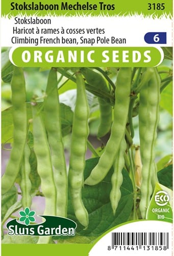 Stangenbohne Mechelse Tros BIO - Phaseolus vulgaris