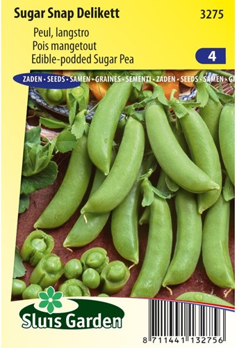 Zuckererbse Sugar Snap Delikett-2