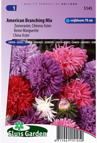 Aster American Branching Mix - Sommeraster Mischung-2