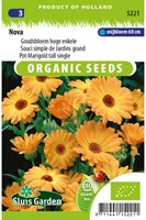 Ringelblume Orange EKO - Calendula-2