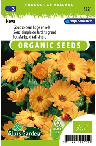 Ringelblume Orange EKO - Calendula-2