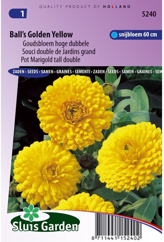 Ringelblume Ball's Golden Yellow - Calendula-2
