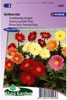 Gerbera grootbloemige gemengd-2